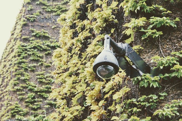 Pourquoi chaque foyer devrait avoir une caméra de surveillance ?